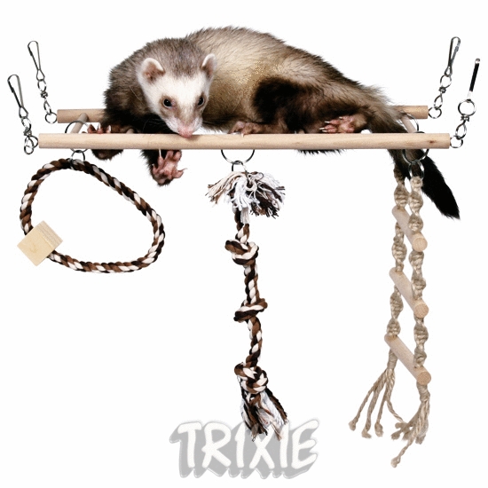 H�ngebr�cke f. Frettchen,Ratten&Chinchi,35 �15 cm
