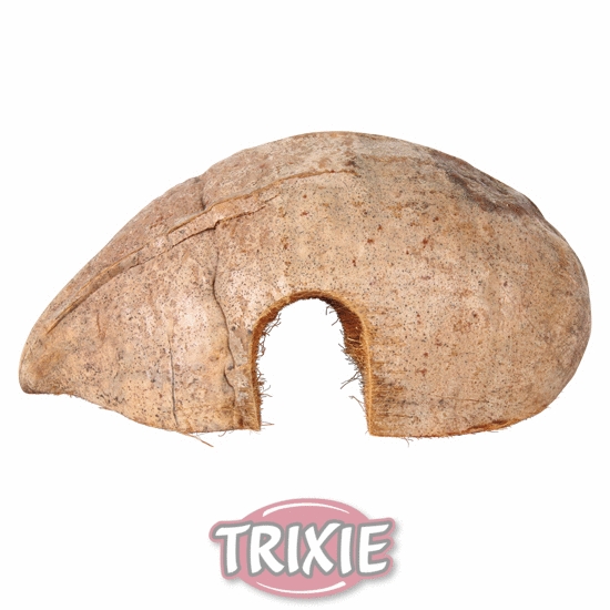 Kokosnuss, Halbschale, 10-15 cm