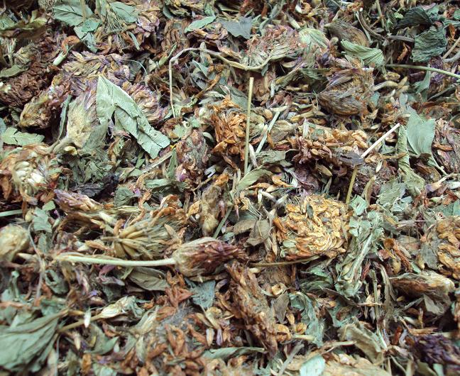 Rotklee 50g (100g-1.50�)