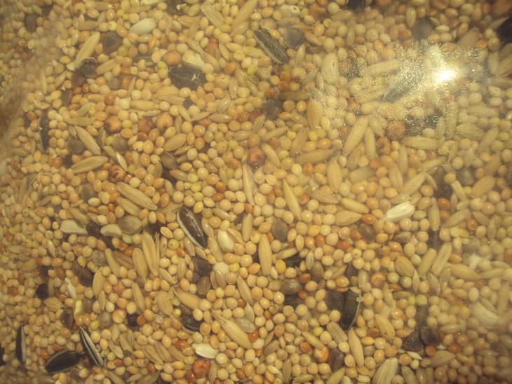Gro�sittichfutter Classic 1kg