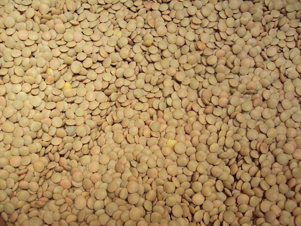 Linsen 500g (100g-0,33)